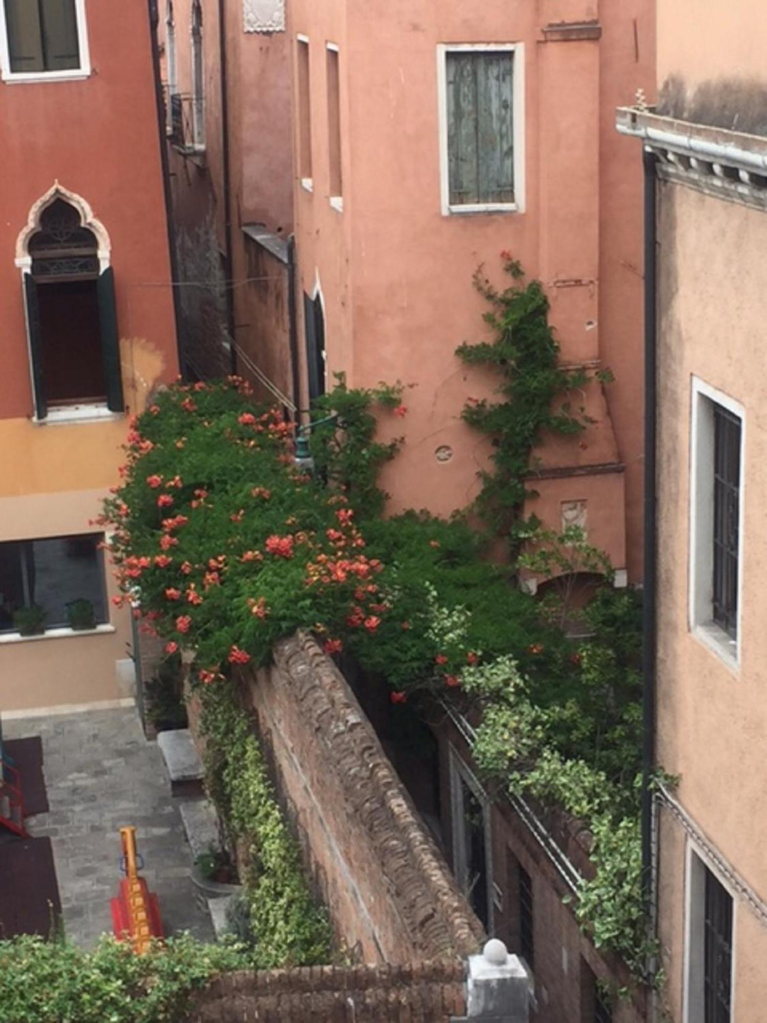 Venice Palace Tintoretto By Wonderful Italy Rum bild